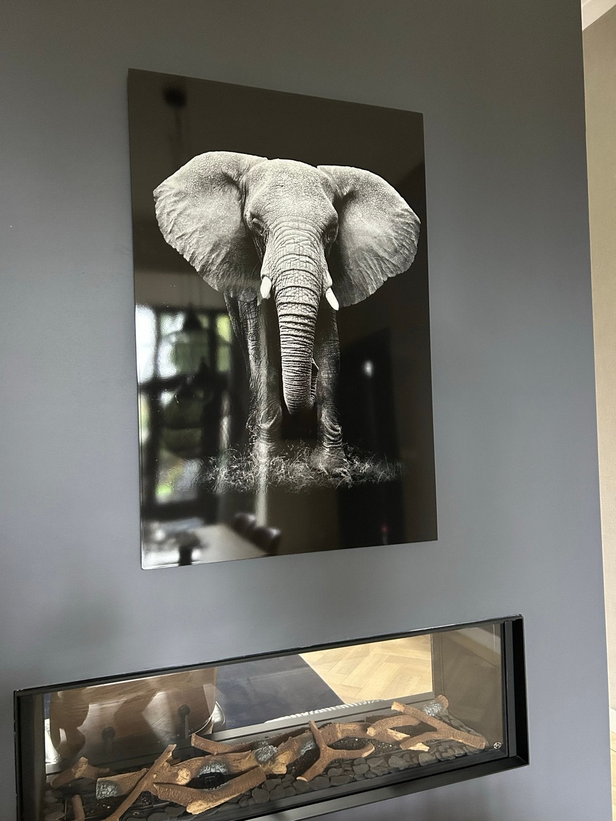 80x120 Olifant Zwart Wit op Aluminium Dibond, Ophalen, Nieuw, 100 tot 125 cm, Foto of Poster