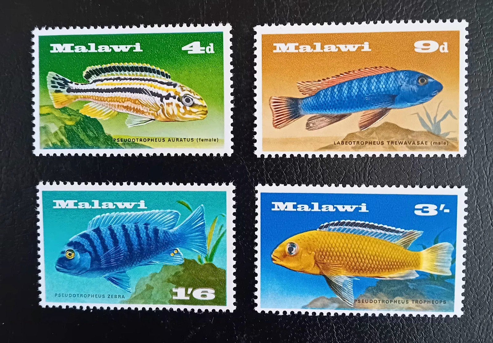 Malawi  serie vissen  Postfris, Ophalen of Verzenden, Postfris, Dier of Natuur