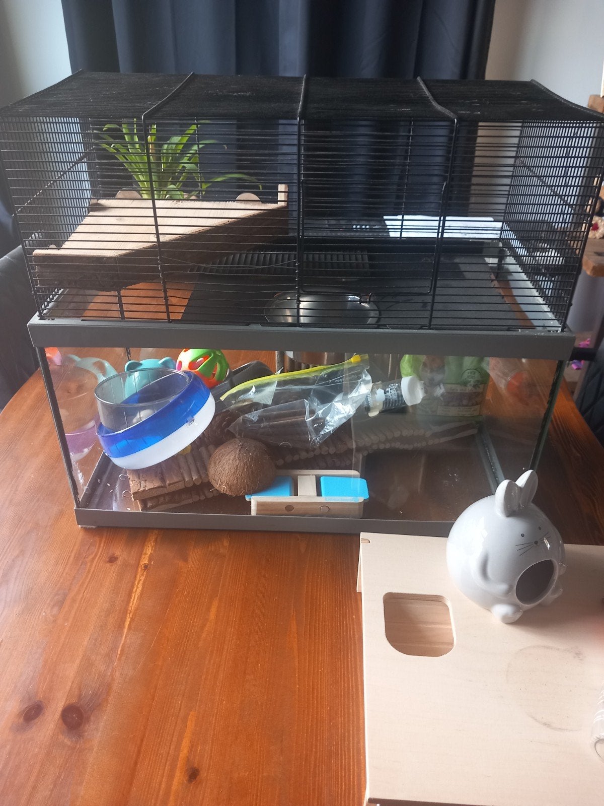 Knaagdieren kooi/ terrarium., Ophalen, Gebruikt