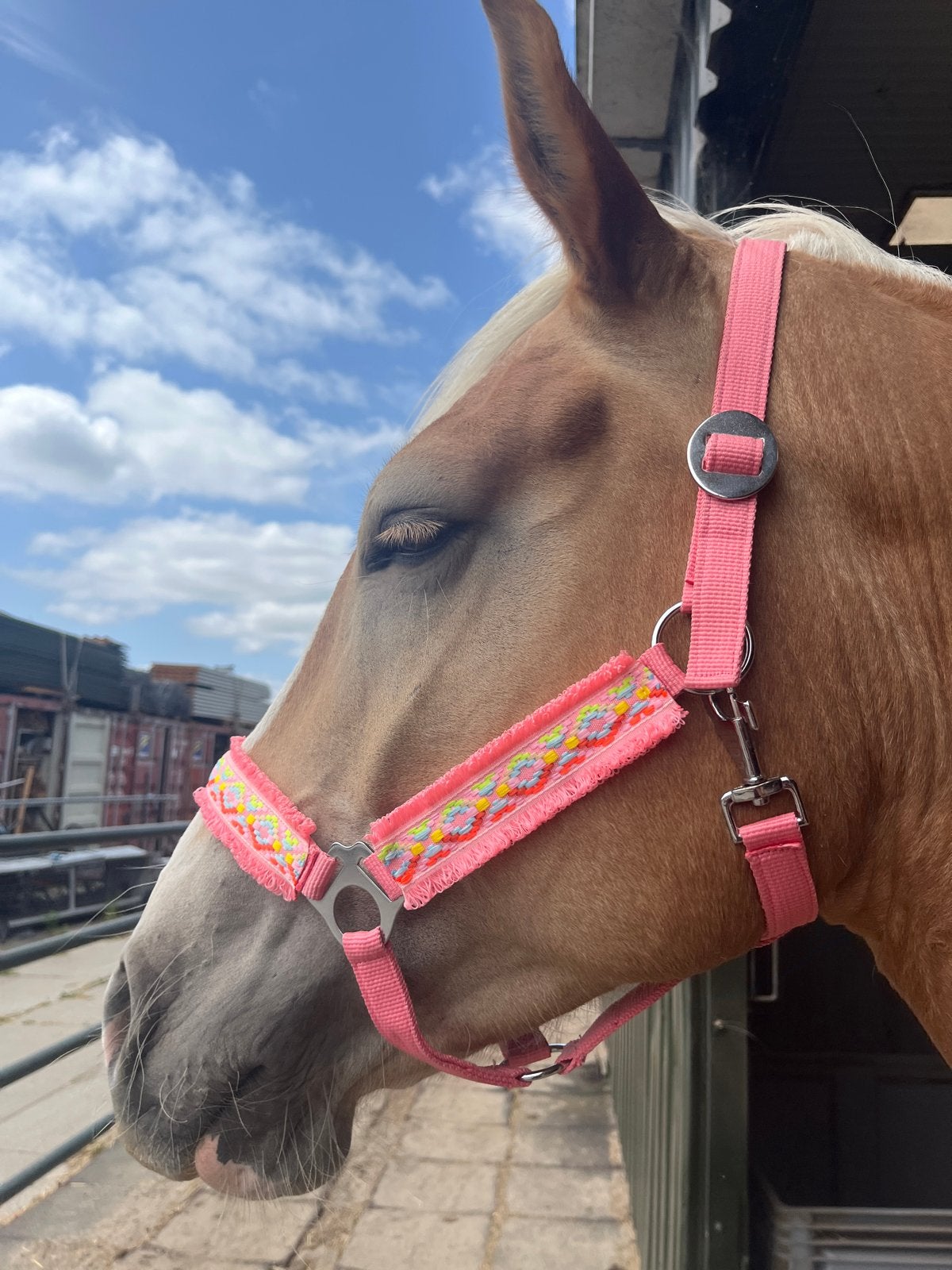 Roze Ibiza Happy Halsters, Dieren en Toebehoren, Ophalen of Verzenden, Zo goed als nieuw
