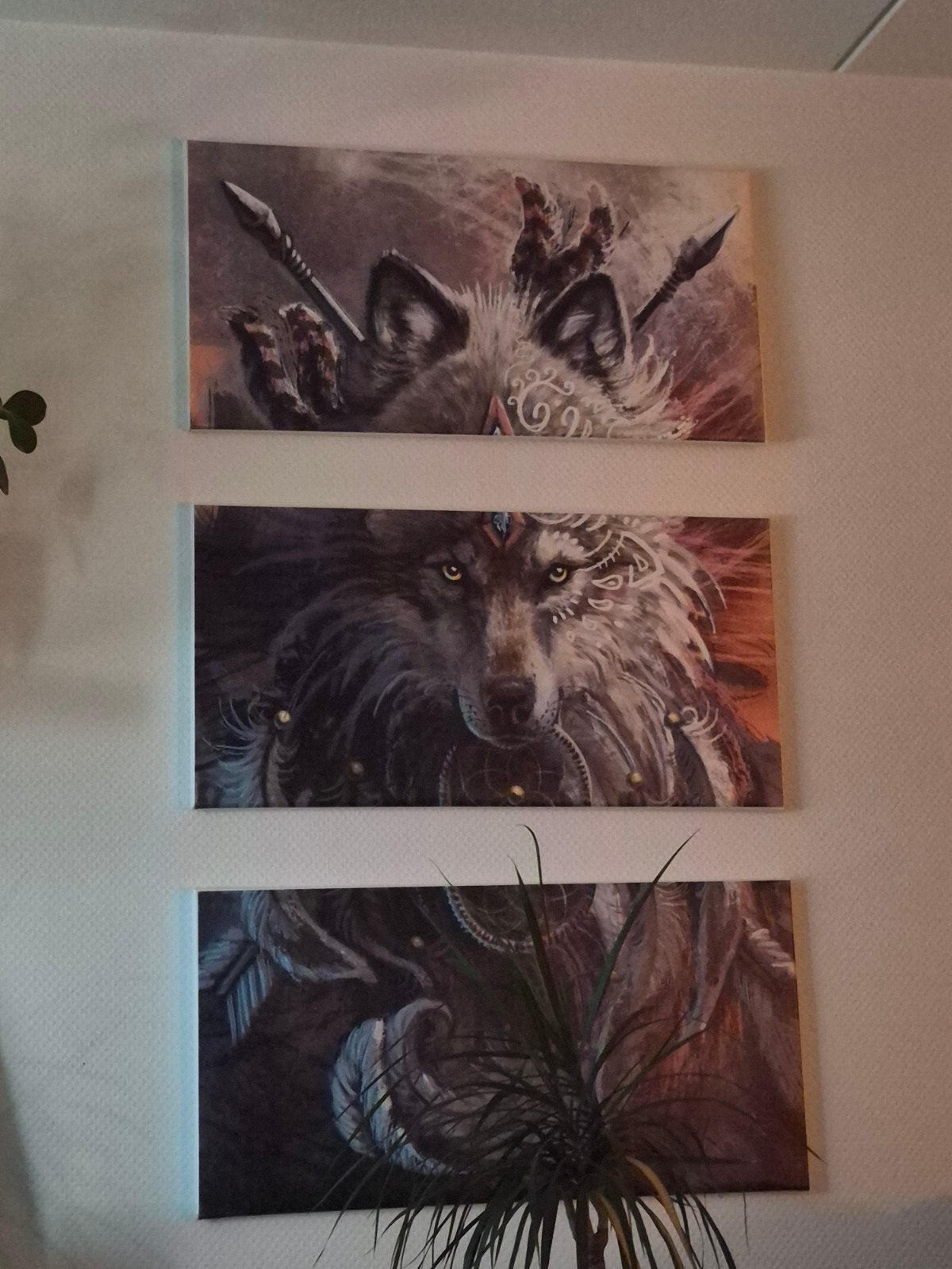 wolf, Ophalen