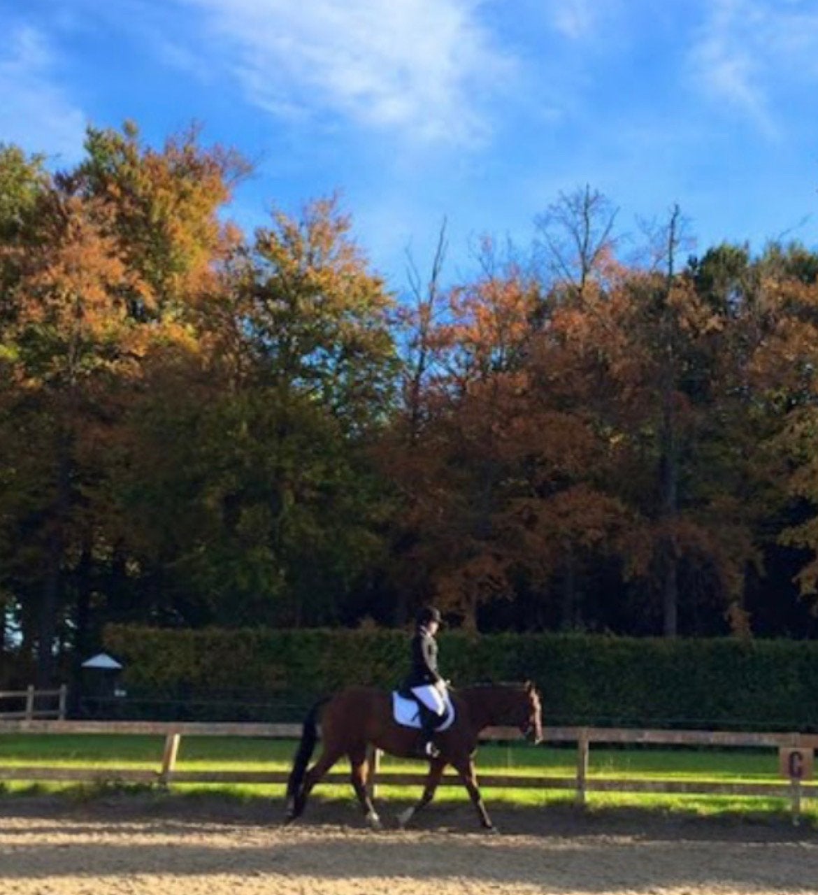 GRATIS PAARDENMEST – VAASSEN, Tuin en Terras, Ophalen, Mest