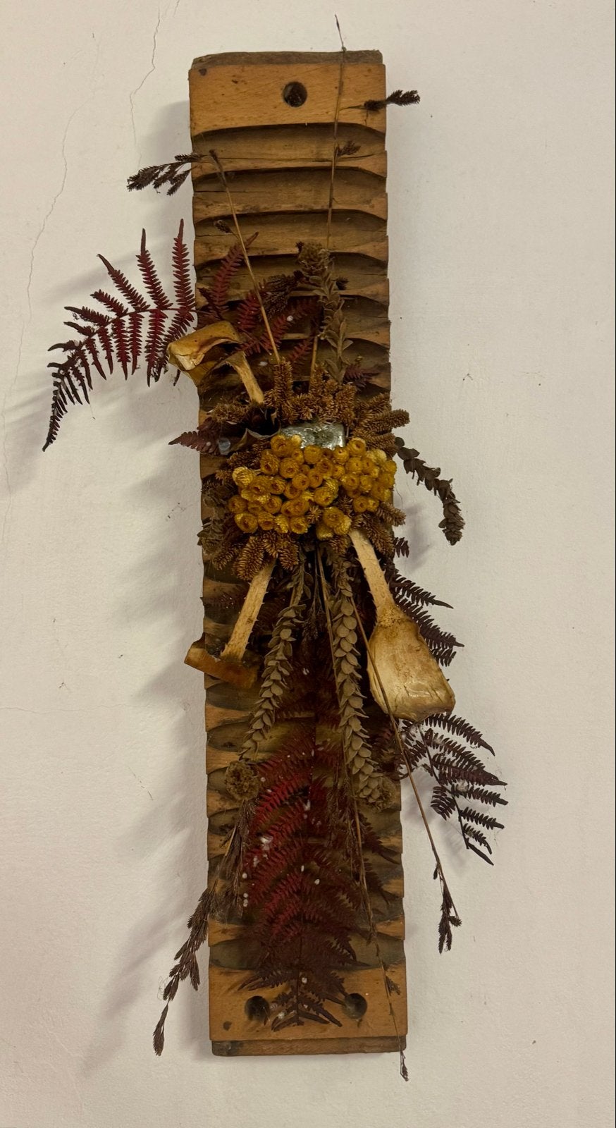 Decoratief wandbord met gedroogde natuurlijke elementen, Ophalen of Verzenden