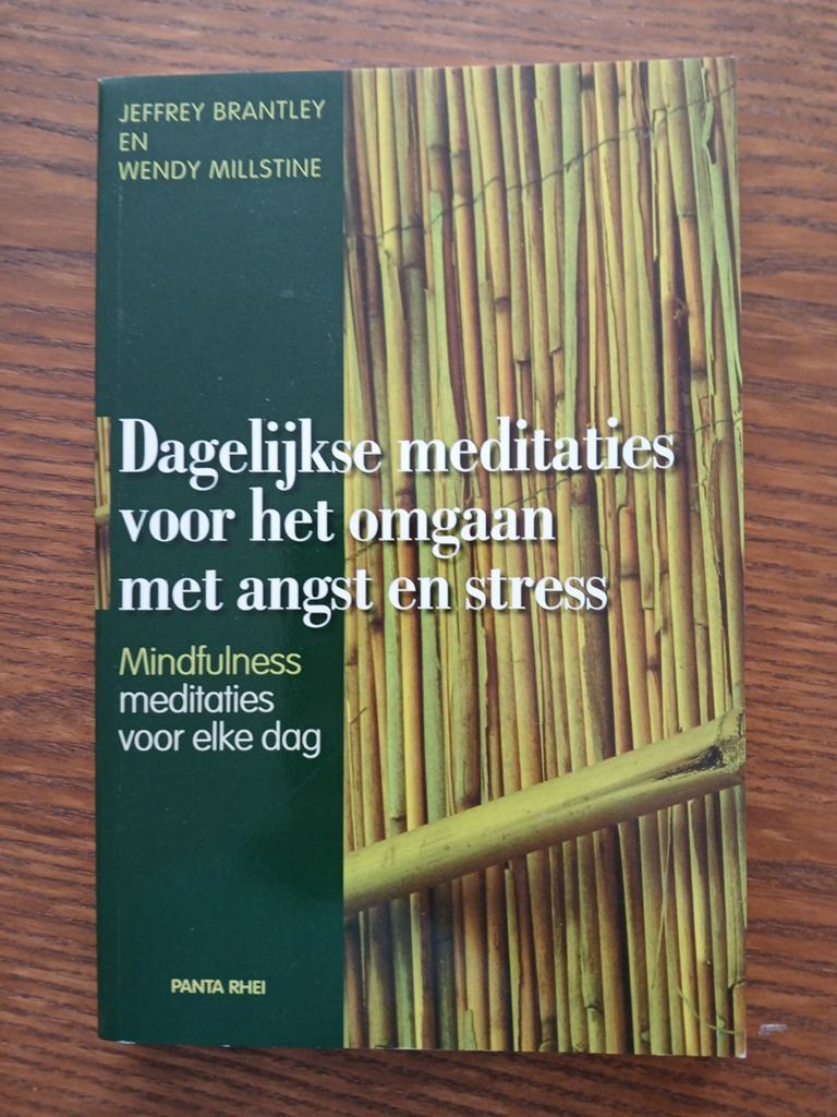 Dagelijkse meditaties voor omgaan met angst en stress, Boeken, Meditatie of Yoga, Jeffrey Brantley en Wendy Millstine, Ophalen of Verzenden