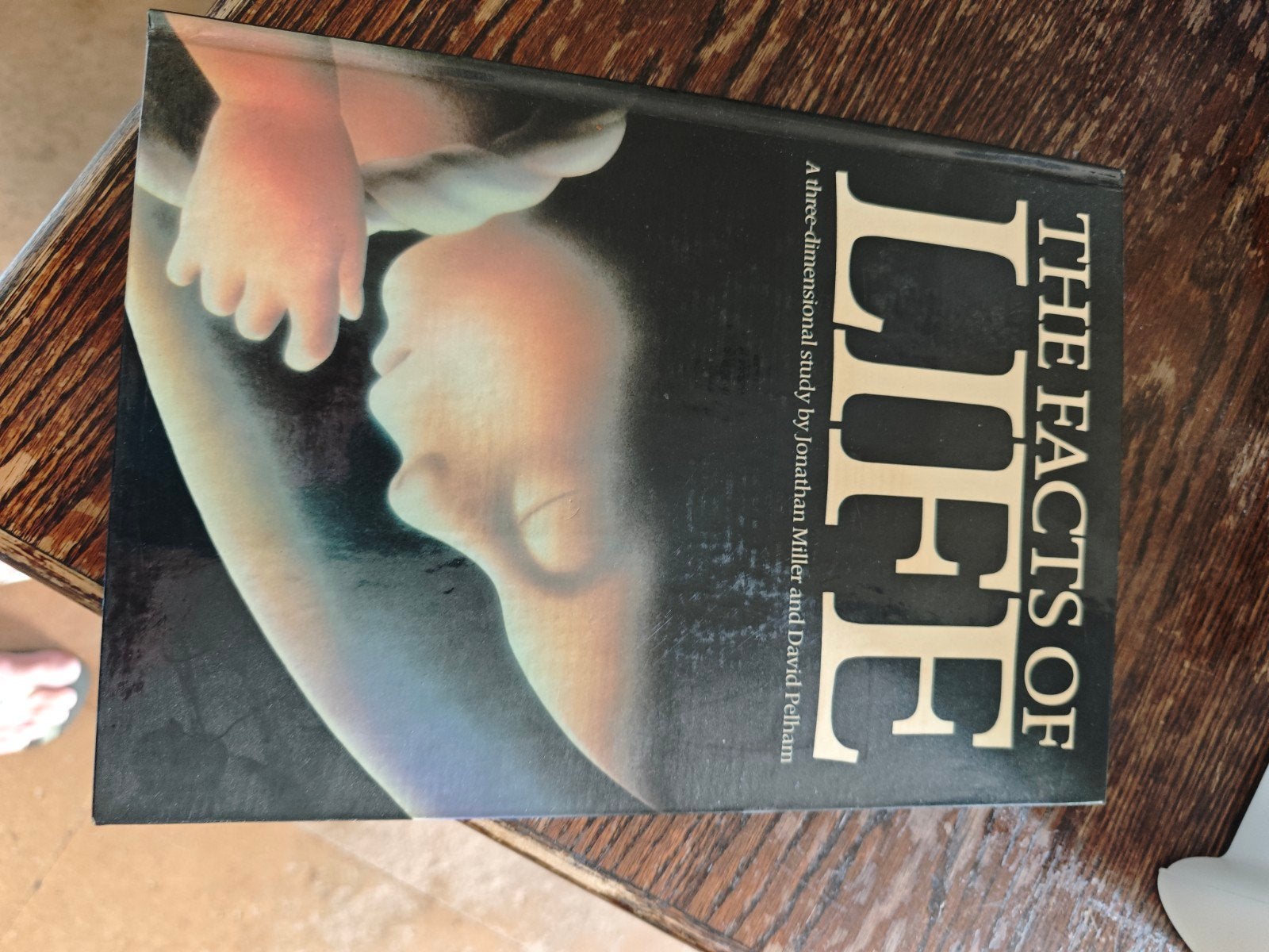 The Facts of Life:3D Pop-up Boek over Menselijke Ontwikkelin, Ophalen of Verzenden, Zo goed als nieuw, Jonathan Miller en David Pelham