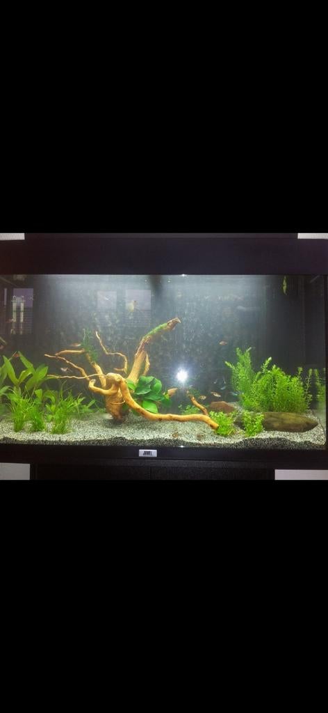 Juwel Aquarium Rio 125 Led 80x35x50 cm Zwart, Dieren en Toebehoren, Vissen | Aquaria en Toebehoren, Ophalen, Gebruikt, Inclusief deksel