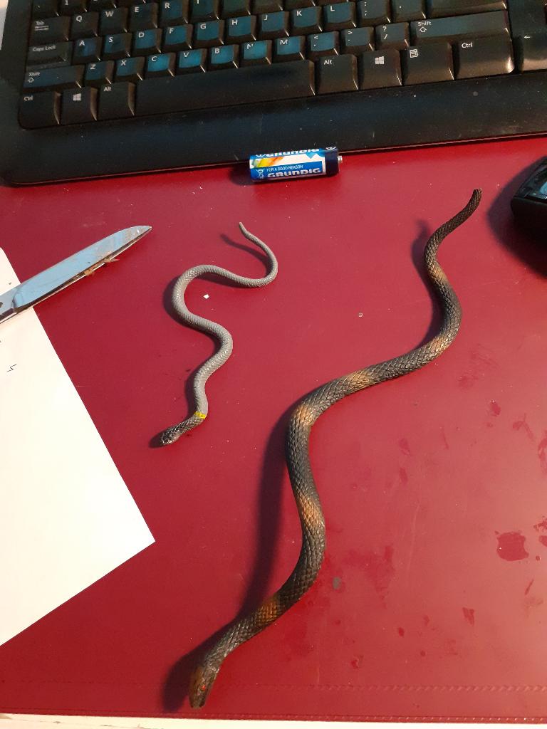 2 slangen, dierfiguren (geen Schleich), Verzamelen, Dierenverzamelingen, Zo goed als nieuw, Beeldje of Figuurtje, Paard, Ophalen of Verzenden