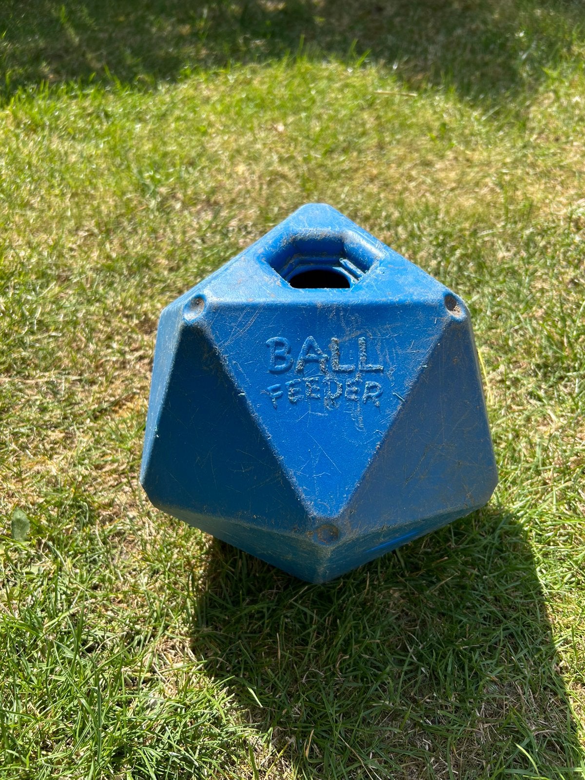 Voerbal paard, Ophalen of Verzenden, Gebruikt