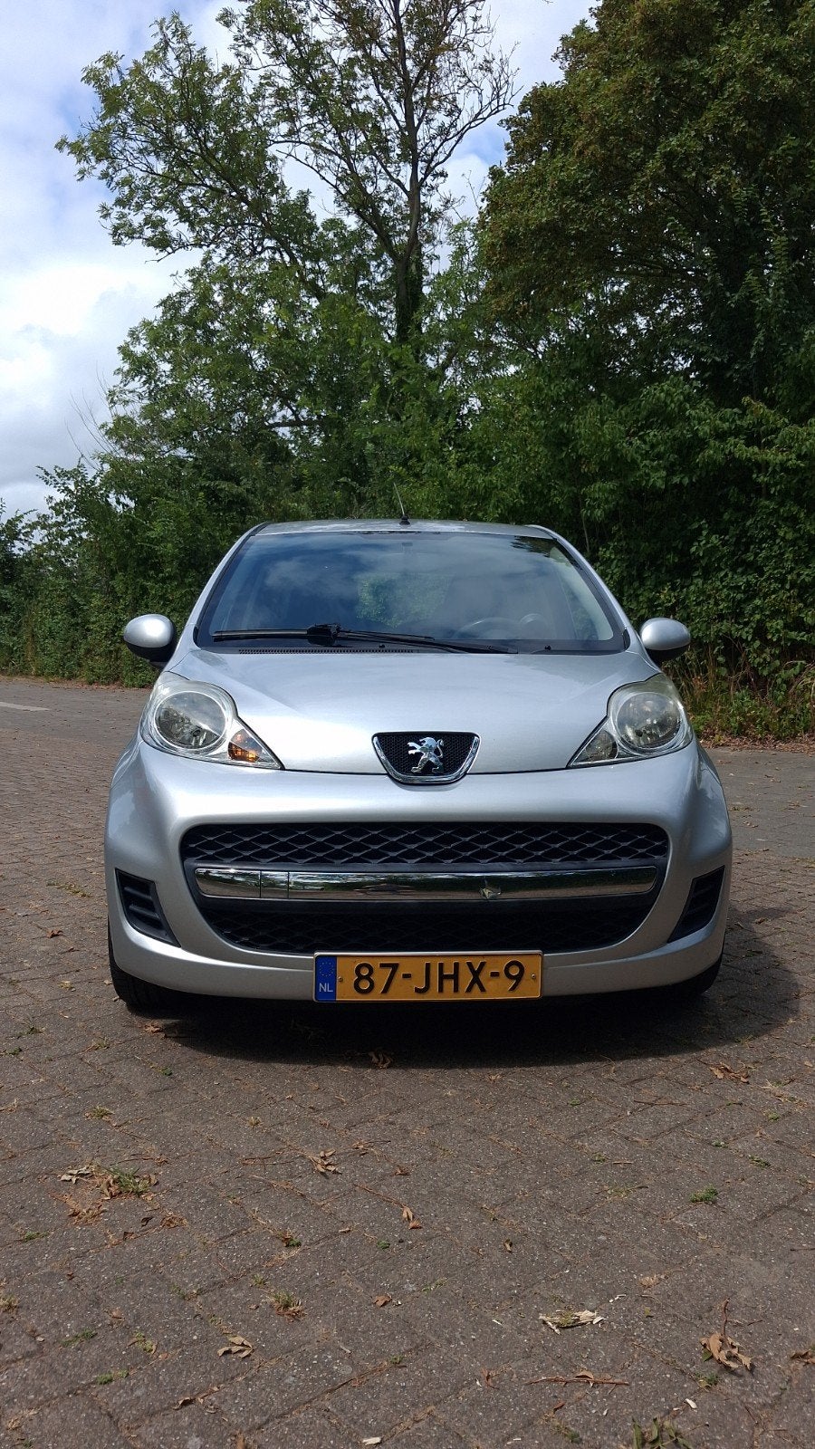 Peugeot 107 1.0 12V 5DR 2009 Grijs, Voorwielaandrijving, 4 stoelen, 68 pk, Origineel Nederlands