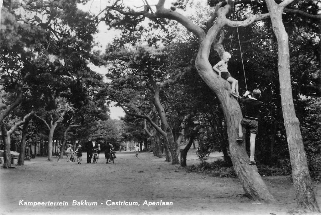 701-033-051 Castricum Kampeerterrein Bakkum, Verzenden, Voor 1920, Noord-Holland