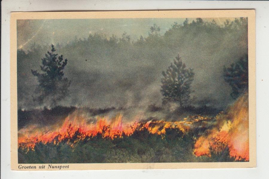 Nunspeet, Heidebrand, Ophalen of Verzenden, 1940 tot 1960, Ongelopen, Gelderland
