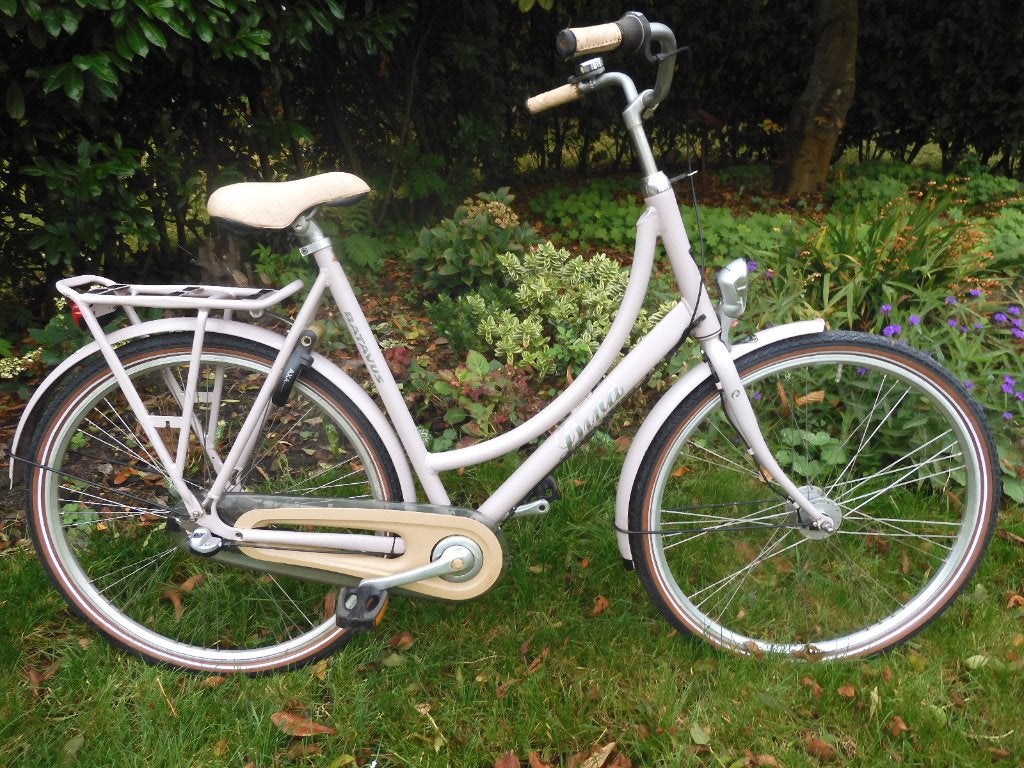 Nette Batavus Diva, hoog frame 61 cm en 3 versnellingen, Fietsen en Brommers, Ophalen, Terugtraprem, Gebruikt, (Extra) lage instap