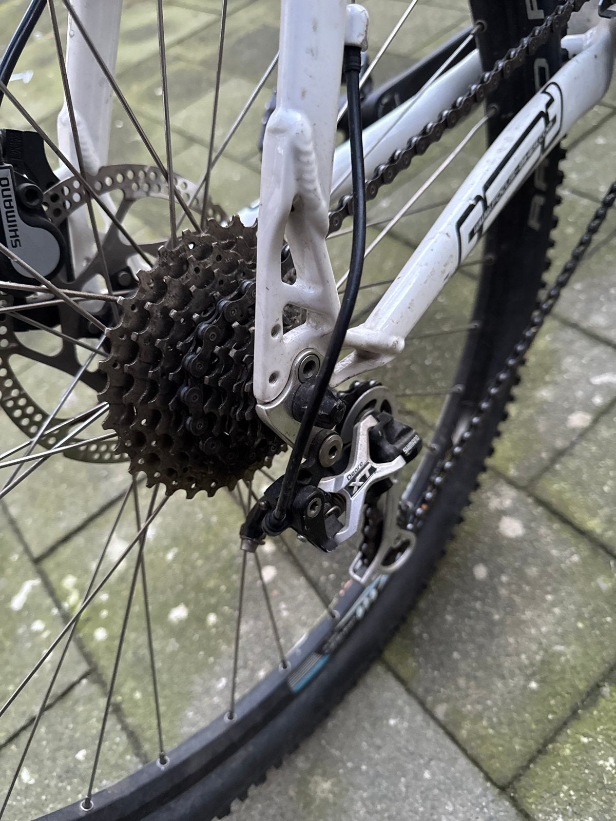 Focus Mountainbike - Maat L - Schijfremmen, Fietsen en Brommers, Fietsen | Mountainbikes en ATB, Gebruikt, 57 cm of meer, Hardtail