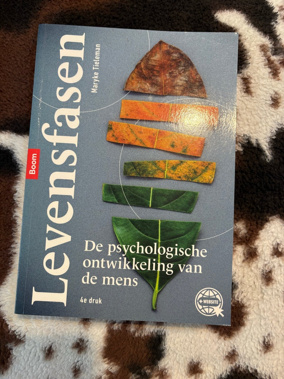 Levensfasen: De psychologische ontwikkeling van de mens, Ophalen of Verzenden, Gamma, Zo goed als nieuw, HBO