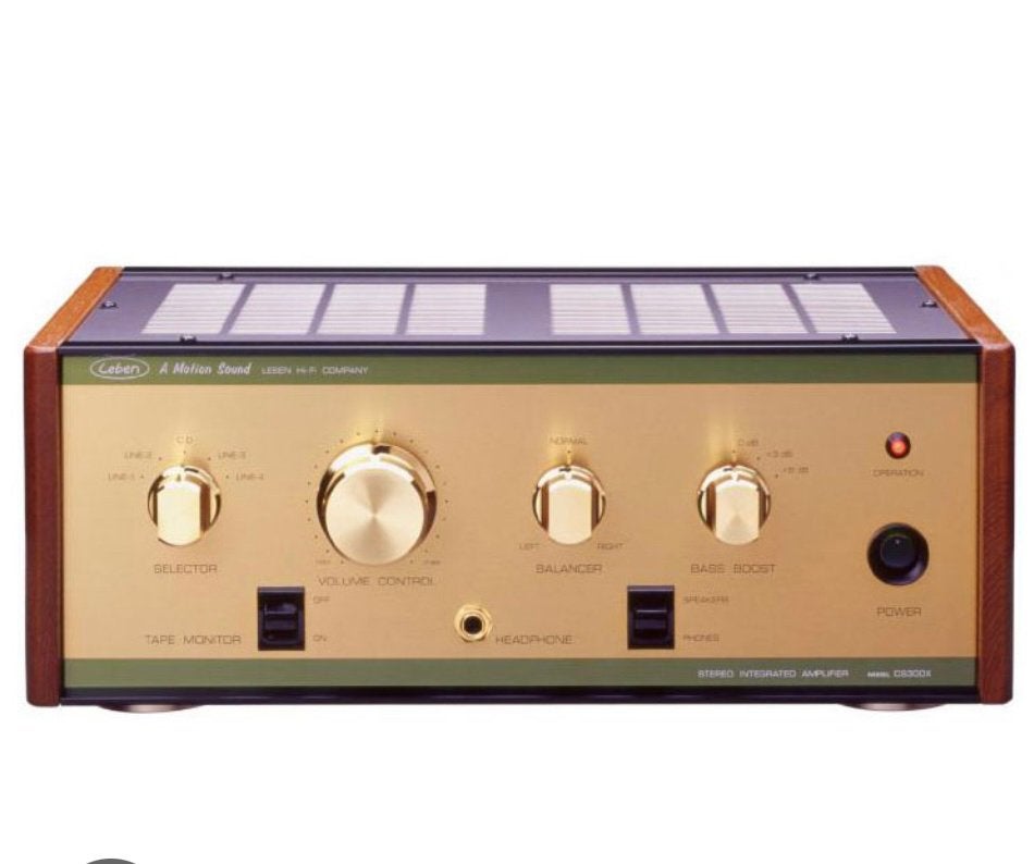 Leben CS300 te ruil gezocht voor LFD Zero LE Mk III, Audio, Tv en Foto, Ophalen of Verzenden, Versterker