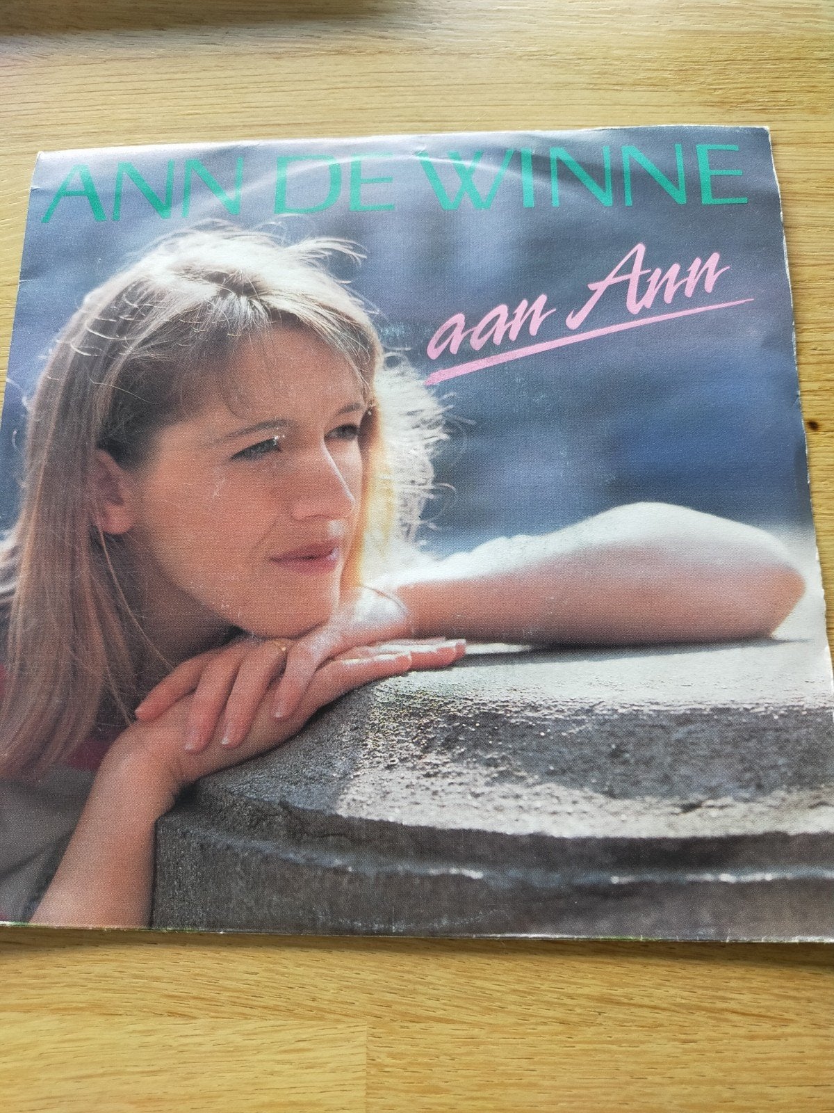 Ann de Winter , aan Ann, Ophalen of Verzenden, Zo goed als nieuw, Nederlandstalig