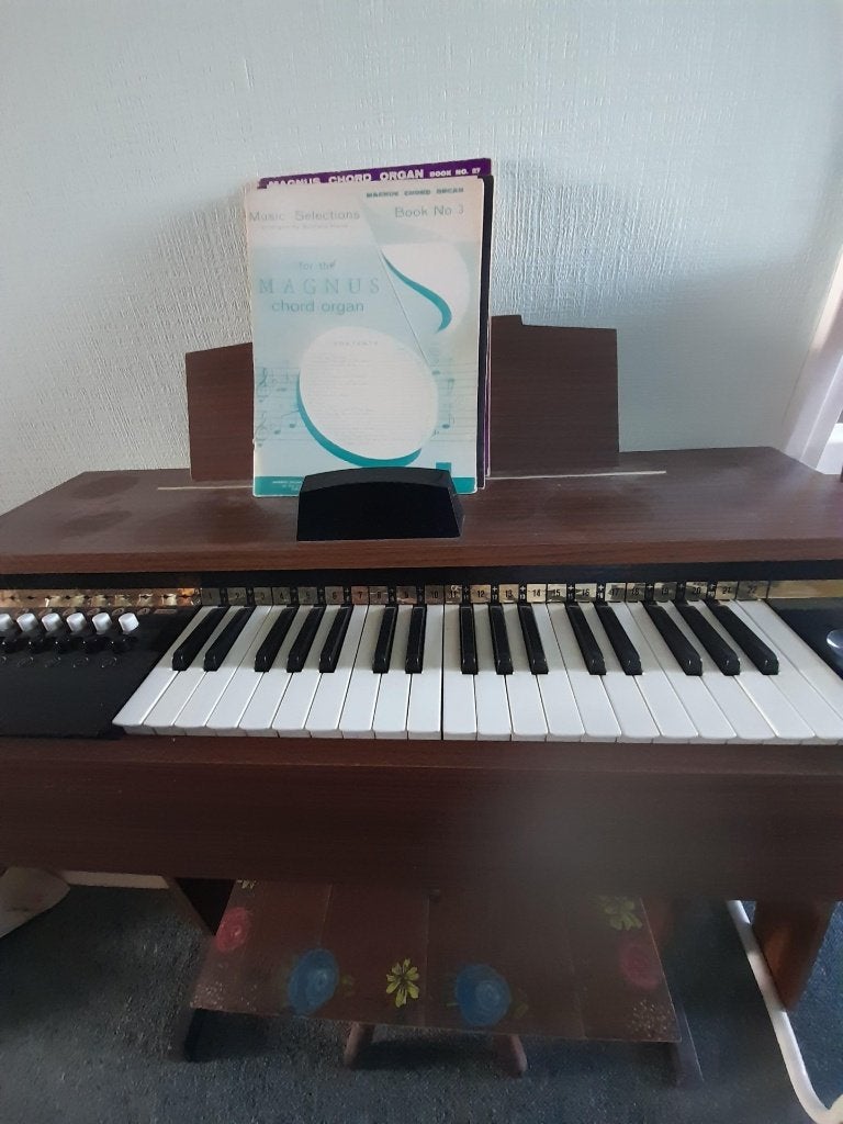 elektrisch orgel, Muziek en Instrumenten, Orgels, Ophalen, Gebruikt, 2 klavieren, Orgel
