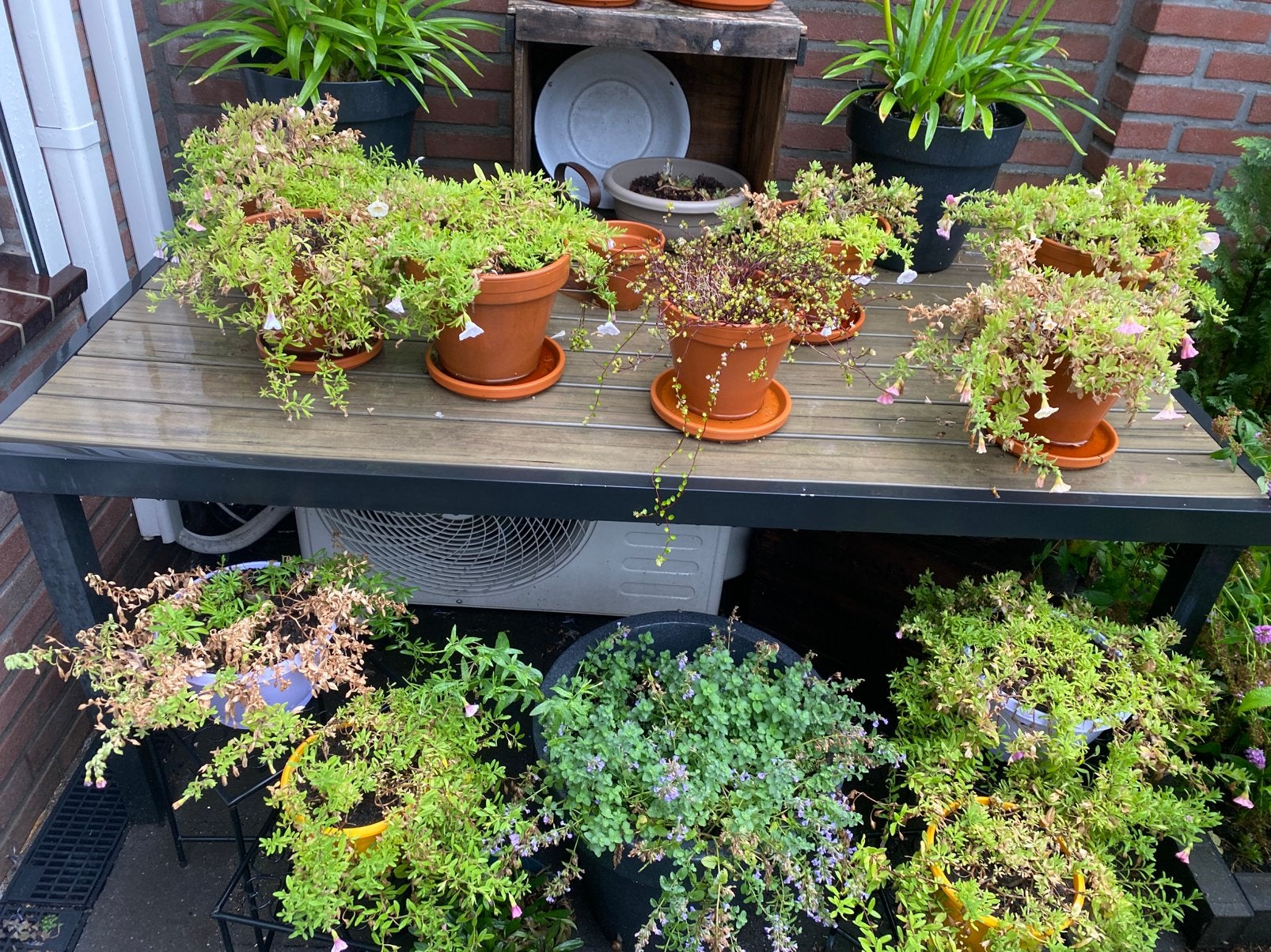 Gratis ophalen tuintafel, Tuin en Terras, Tuintafels, Ophalen, Gebruikt, Rechthoekig, Metaal