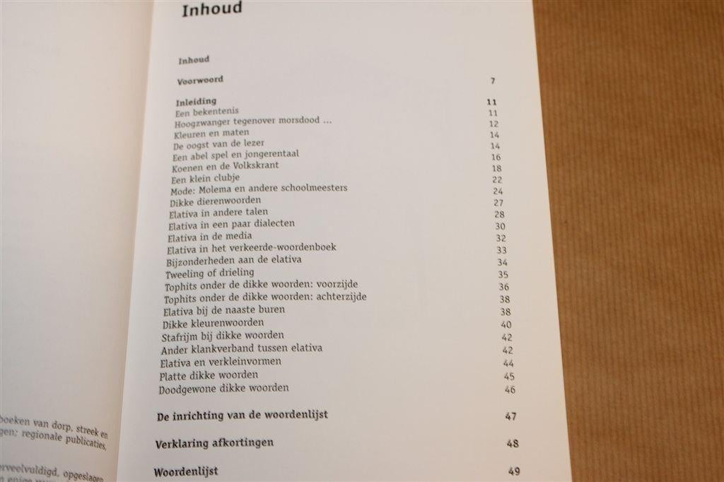 Dikke Woorden — Groninger Taal & Uitdrukkingen [1996], Ophalen of Verzenden, Zo goed als nieuw
