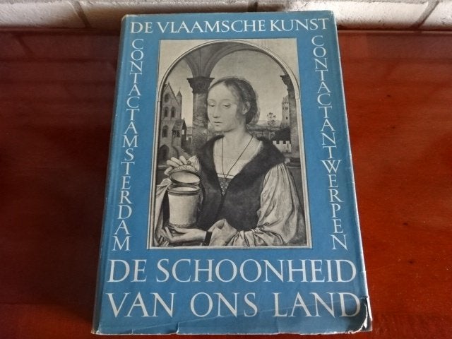 De Vlaamse kunst, Ophalen of Verzenden, Diverse
