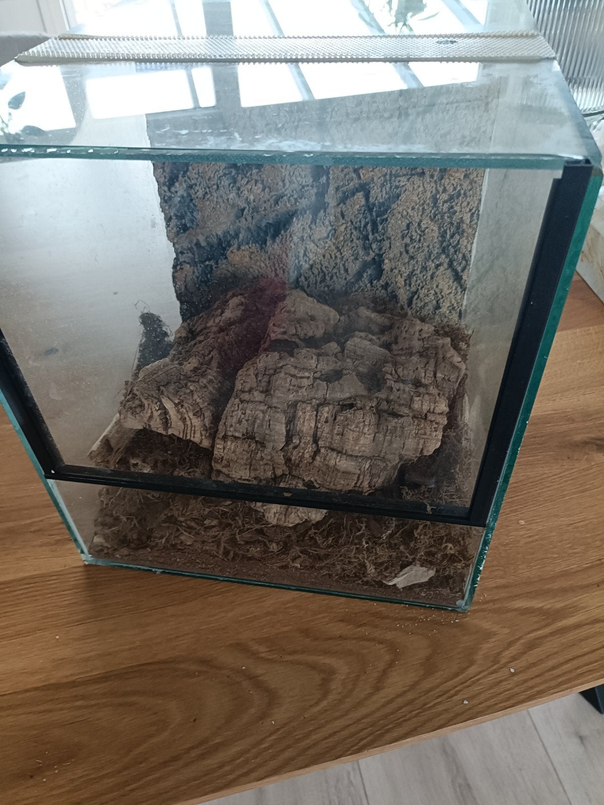 Terrarium, Ophalen, Gebruikt, Terrarium of Paludarium