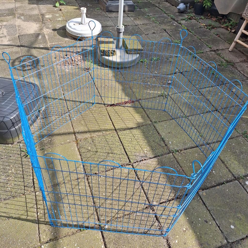 Knaagdieren ren., Dieren en Toebehoren, Ophalen, 110 cm of meer, Ren, Minder dan 60 cm