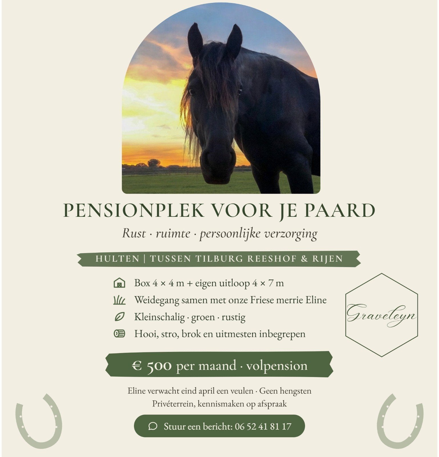 pension stal, Hulten. nabijnTilburg Reeshof., Opfok, 1 paard of pony