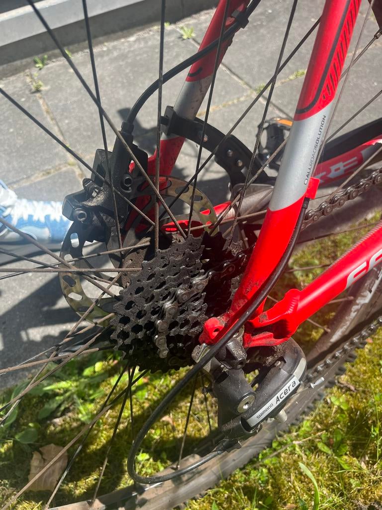 Ferrini Mountainbike - Rood, Gebruikt, Gebruikt, Hardtail, Heren, Schijfrem