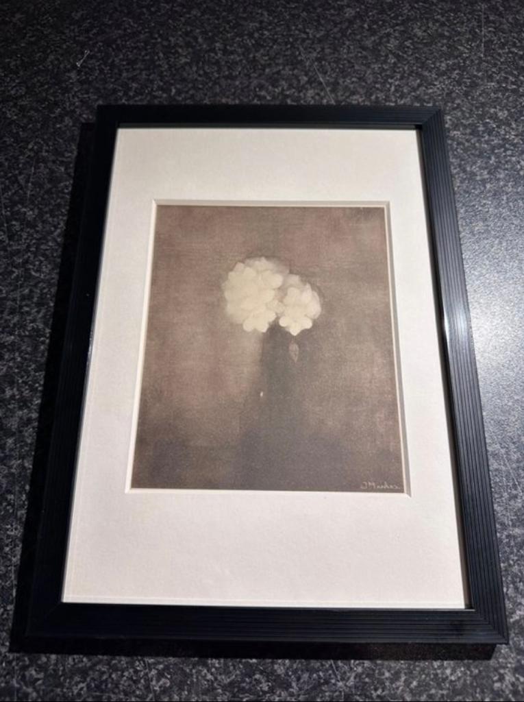 Jan Mankes 1889-1920 / Heliogravure Vaas met Jasmij 1923, Antiek en Kunst, Kunst | Etsen en Gravures, Ophalen of Verzenden