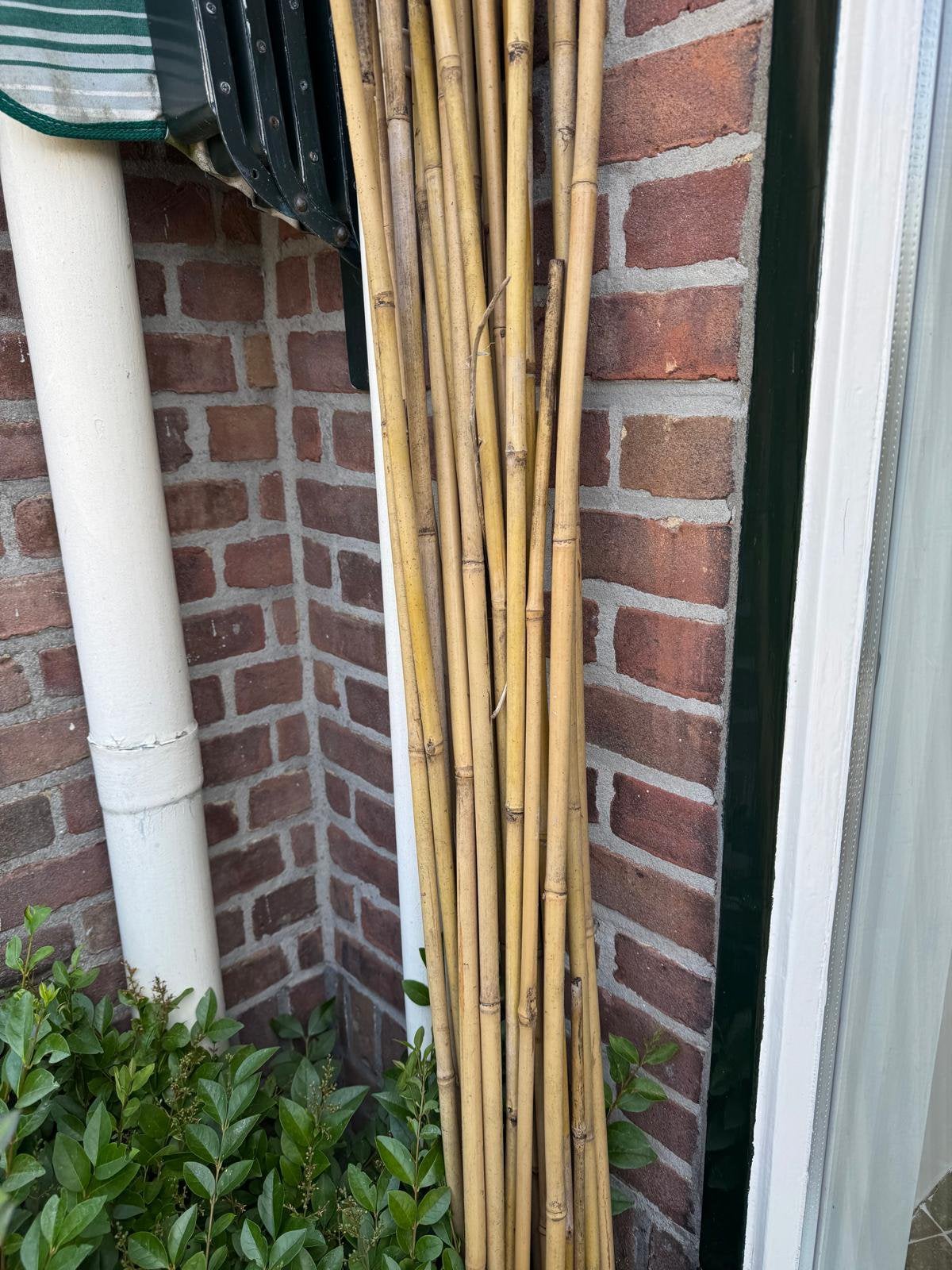 Bamboe stokken - 2meter gemiddeld, Tuin en Terras, Ophalen, Zo goed als nieuw
