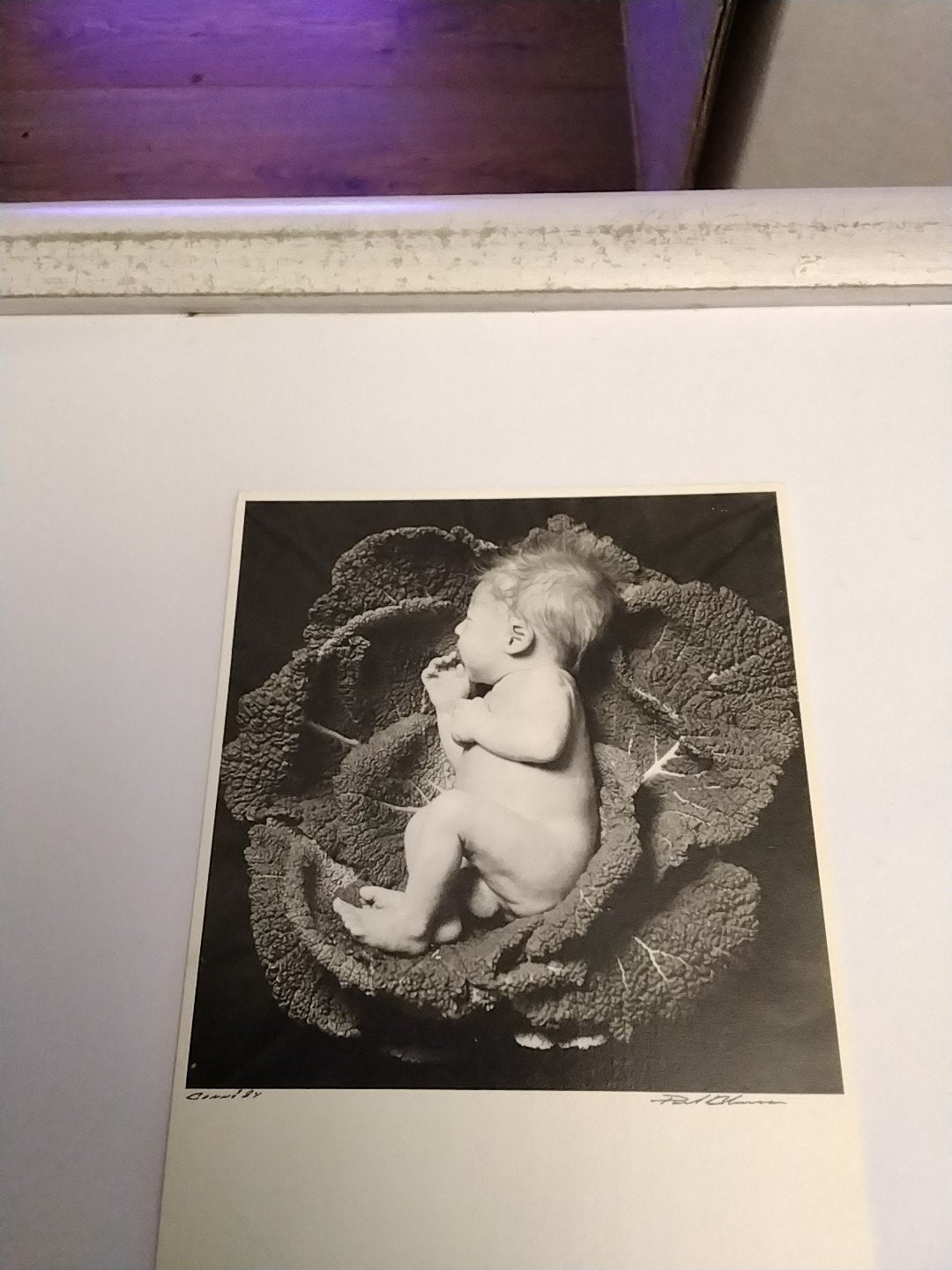 Vintage foto baby in koolblad - Paul Blanca 1984, Ophalen of Verzenden, 1980 tot heden