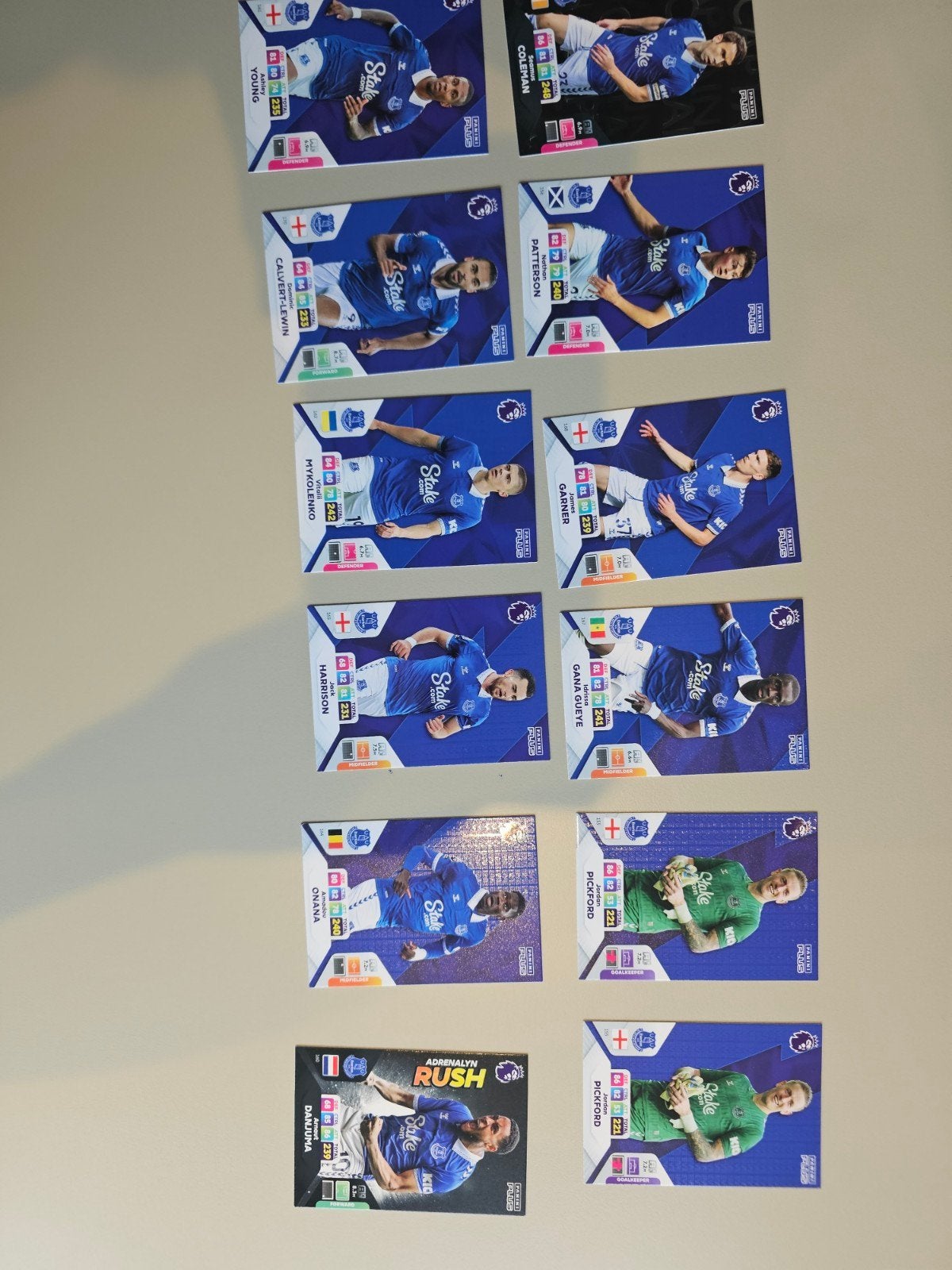 Everton FC Panini Adrenalyn XL 2023-24 Voetbal Kaarten, Ophalen of Verzenden, Zo goed als nieuw, Buitenlandse clubs, Spelerskaart
