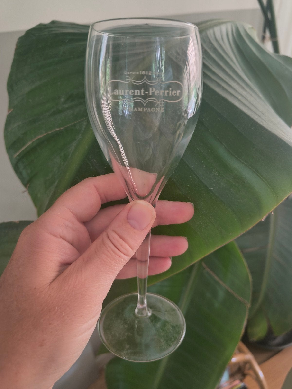 6 nieuwe champagneglazen Lauren Perrier, Ophalen of Verzenden, Nieuw, Overige typen