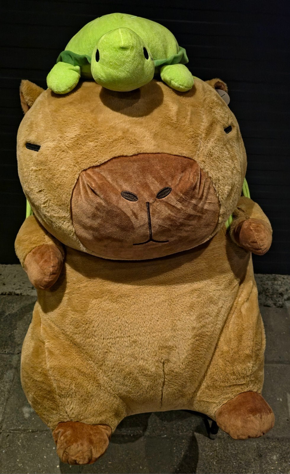 Grote Capybara knuffel met kleine schildpad knuffel, Ophalen, Overige merken, Overige karakters, Overige typen
