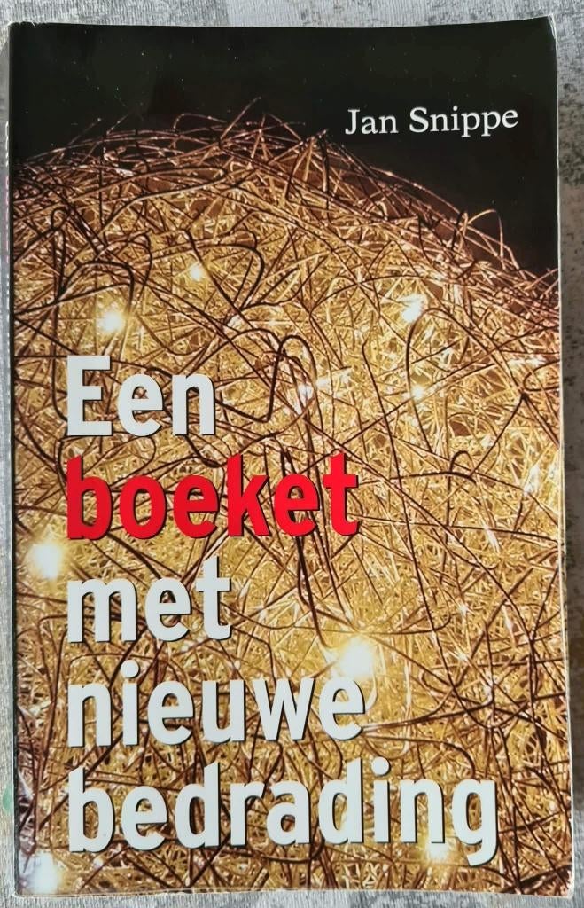Een boeket met nieuwe bedrading -Jan Snippe- Drenthe, Ophalen of Verzenden, Gelezen, Nederland