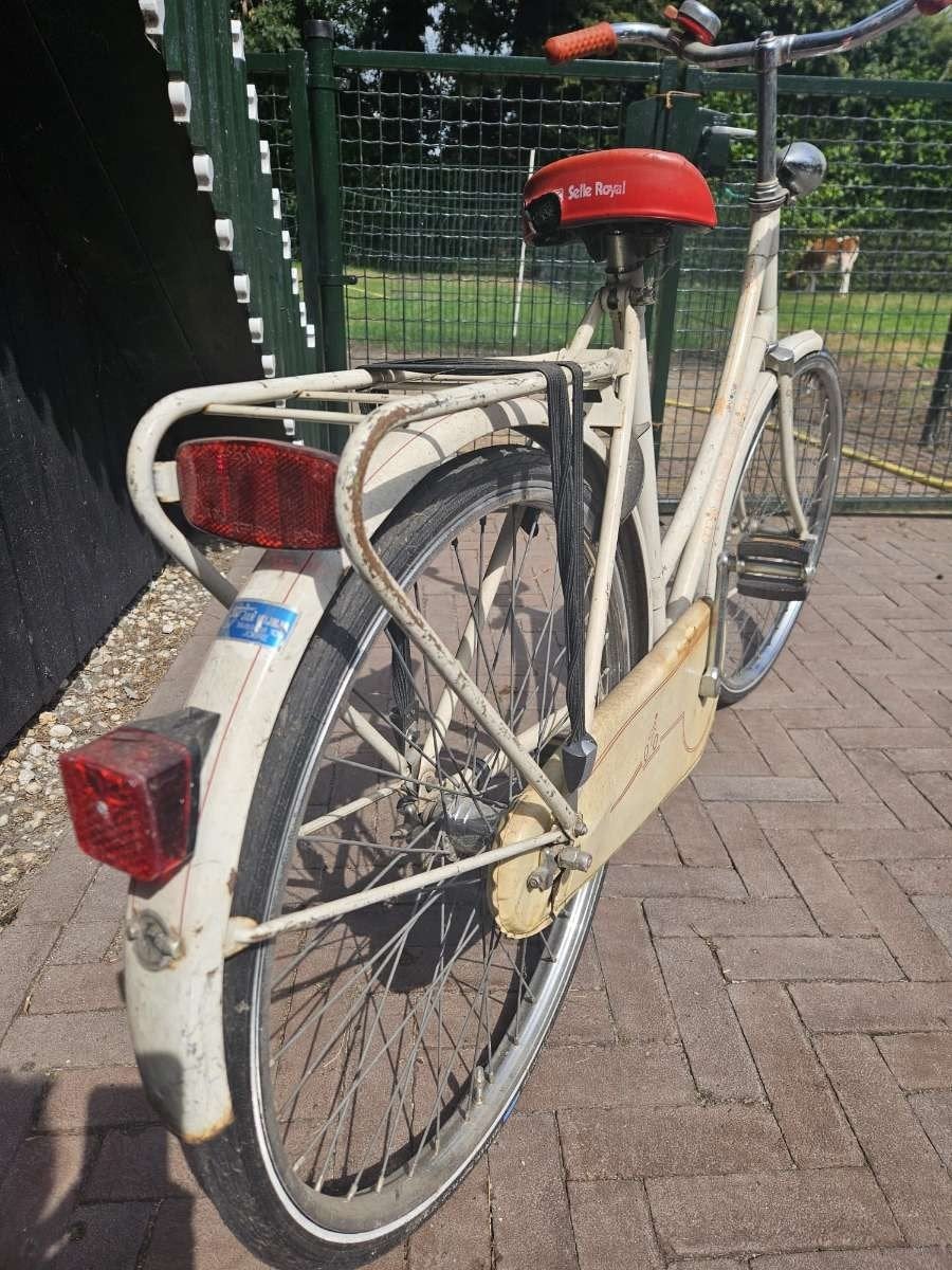 Gazelle meisjes fiets, Fietsen en Brommers, Fietsen | Oldtimers, Ophalen, Terugtraprem, Jaren '60 of nieuwer, Minder dan 47 cm