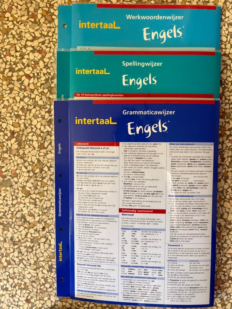 Intertaal Engels, Diversen, Ophalen of Verzenden, Zo goed als nieuw