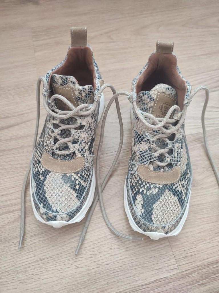Mipacha Carrera snake sneakers, Kleding | Dames, Ophalen, Overige kleuren, Mipacha, Sneakers of Gympen