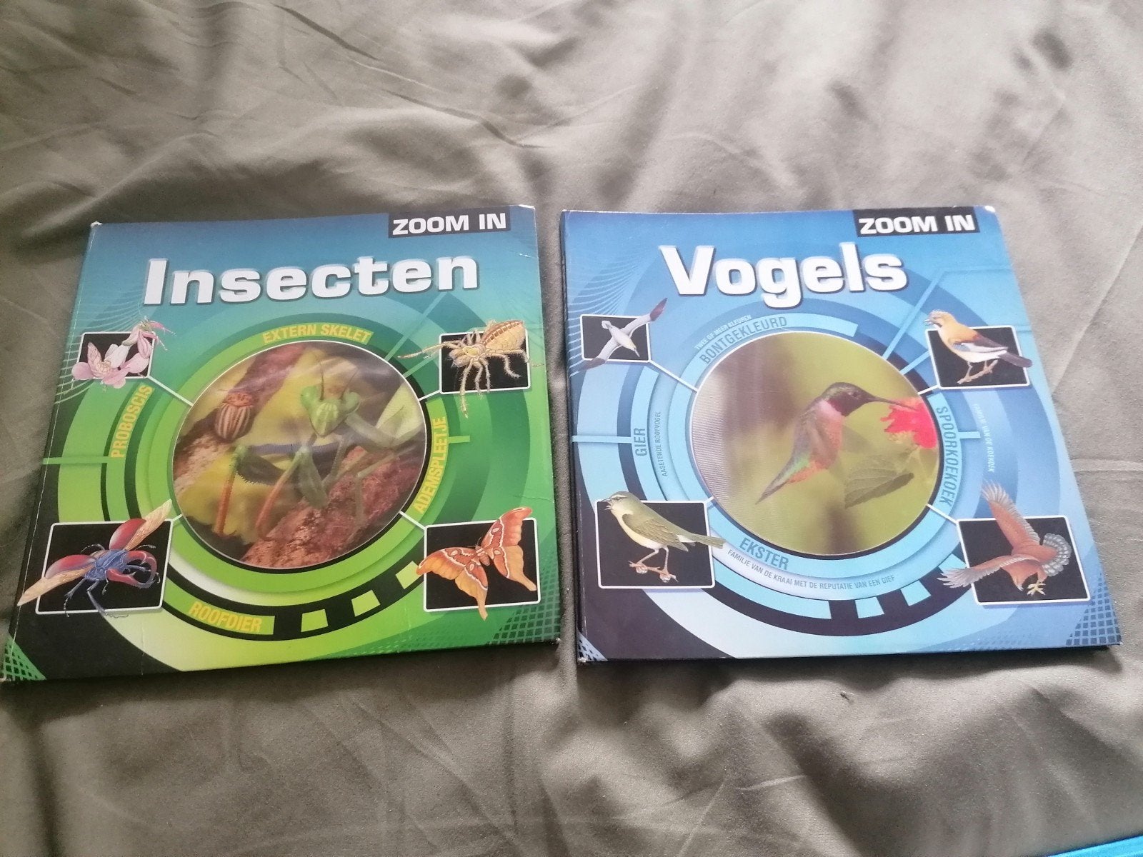 Zoom In: Insecten & Vogels Boeken (2 stuks), Ophalen of Verzenden