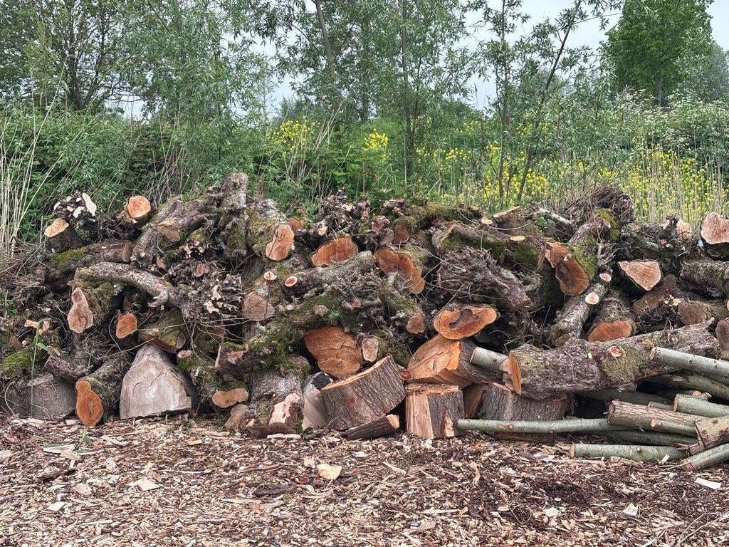 Perenhout stammen - 40 jaar oud, omtrek 40-50 cm, Tuin en Terras, Haardhout, 6 m³ of meer, Ophalen, Overige houtsoorten, Stammen