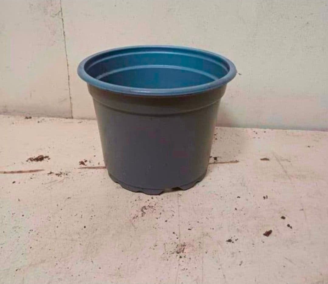 Kweekpotten plantenpotten bloempotten 2 liter, Kunststof, Gebruikt, Rond, Ophalen of Verzenden