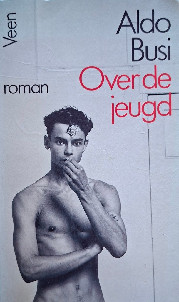 Aldo Busi : over de jeugd ( homo , gay ), Ophalen of Verzenden, Gelezen