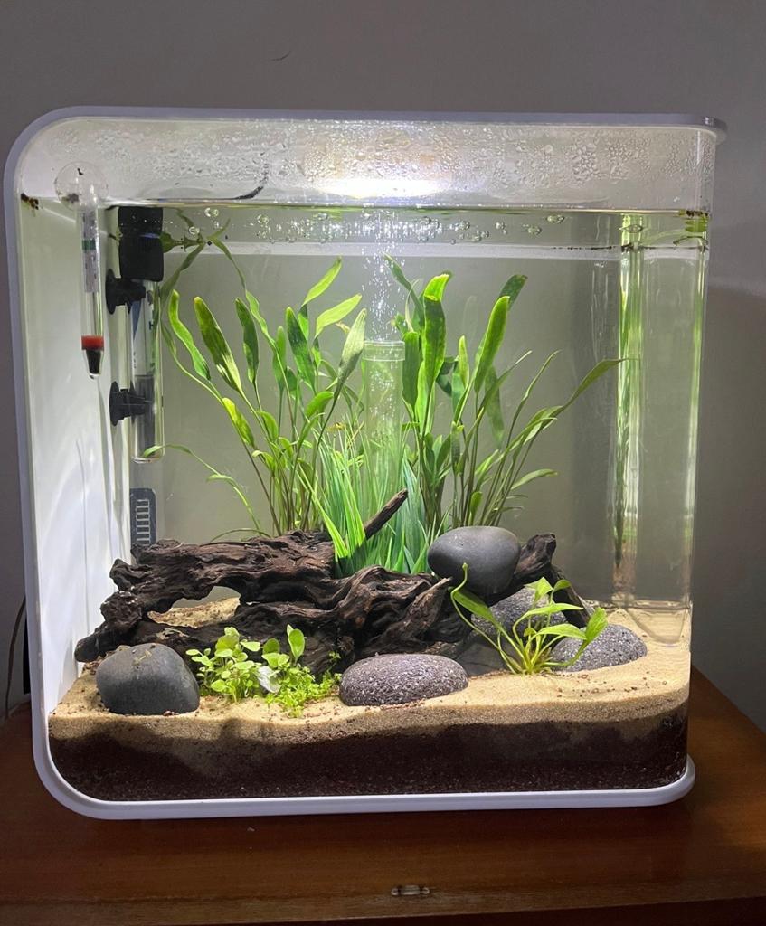 biorb aquarium 30 liter wit, Dieren en Toebehoren, Vissen | Aquaria en Toebehoren, Ophalen, Zo goed als nieuw, Leeg aquarium