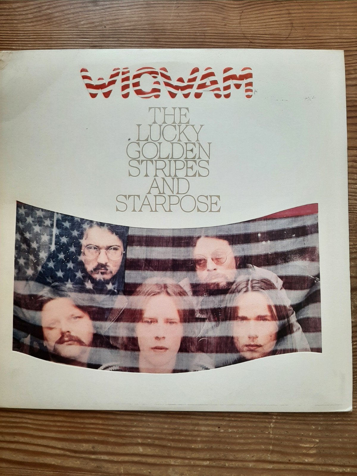 Wigwam, Ophalen of Verzenden, Gebruikt, 12 inch