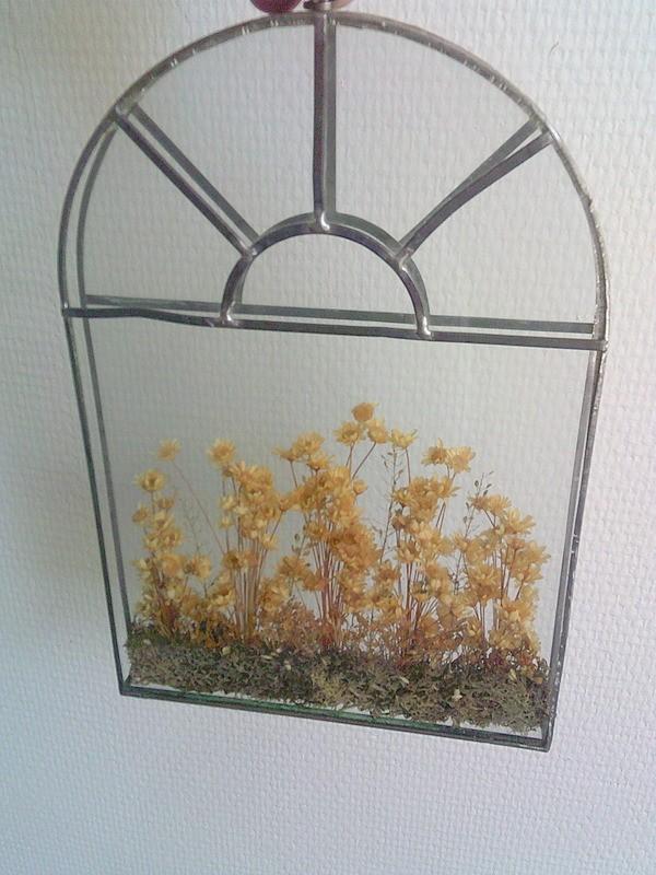VINTAGE dubbele raam /vitrine met droogbloemen hanger, Ophalen of Verzenden