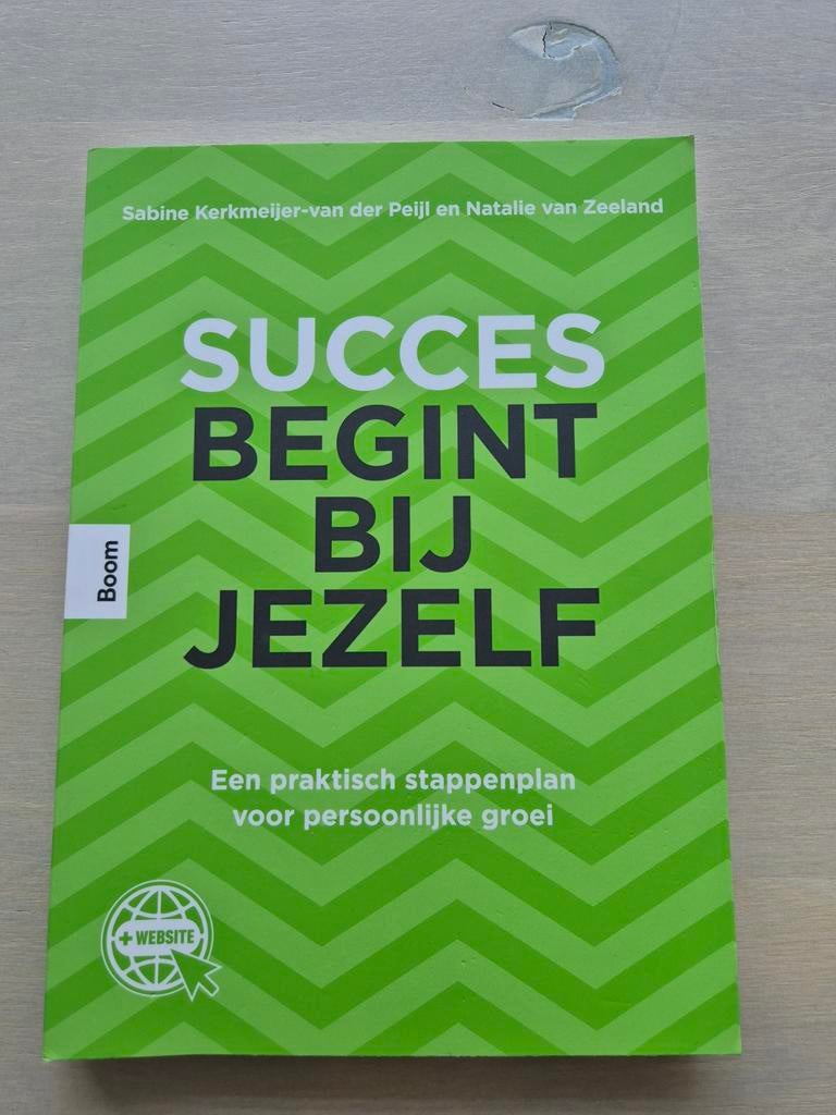 Succes Begint Bij Jezelf - HRM Hanzehogeschool, Ophalen of Verzenden, Zo goed als nieuw, Sabine Kerkmeijer-van der Peijl en Natalie van Zeeland