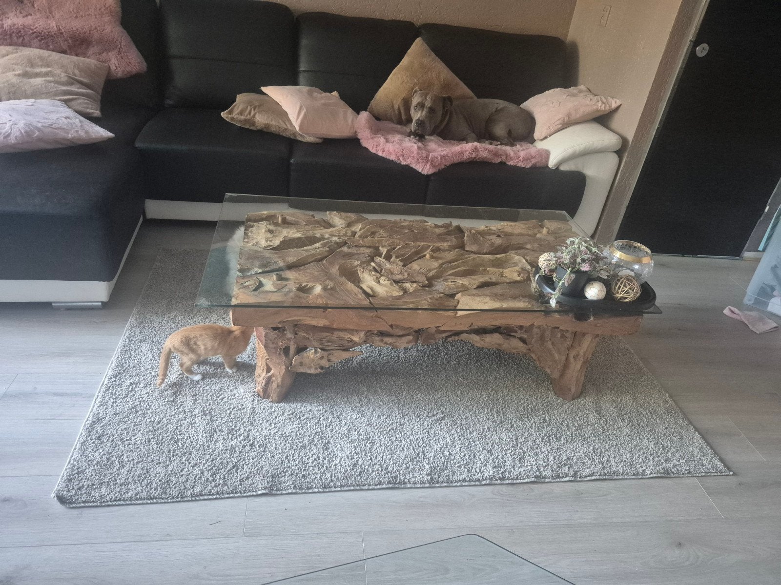 Unieke salontafel van teakhout met glazen blad, 100 tot 150 cm, Rustiek, Organisch, Modern, Ophalen of Verzenden, Zo goed als nieuw