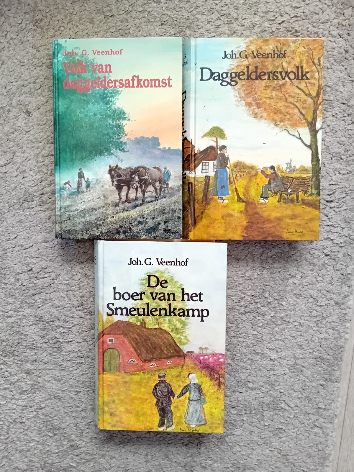 Joh.G.Veenhof. daggelders trilogie, Boeken, Ophalen of Verzenden, Gelezen