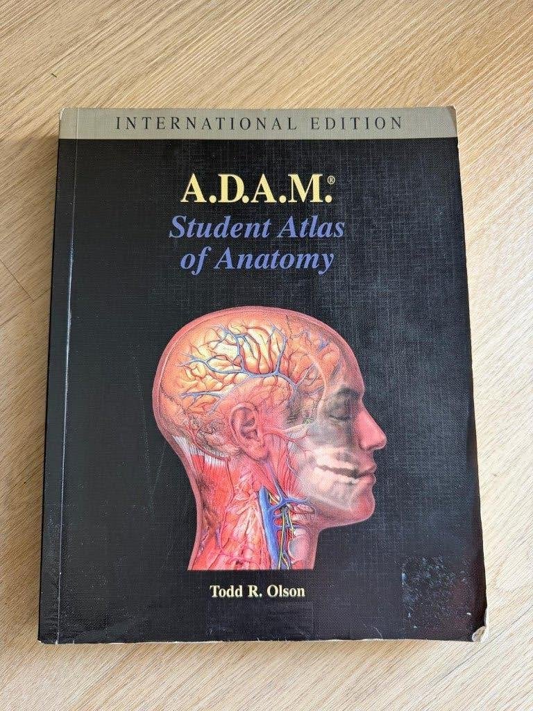 A.D.A.M. Student Atlas of Anatomy -  Todd R. Olson, Boeken, Studieboeken en Cursussen, Gelezen, WO, Beta, Ophalen of Verzenden