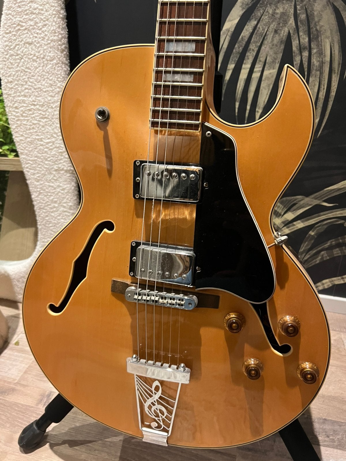 Electrische gitaar R.G.Design, Ophalen, Gebruikt, Hollow body, Overige merken